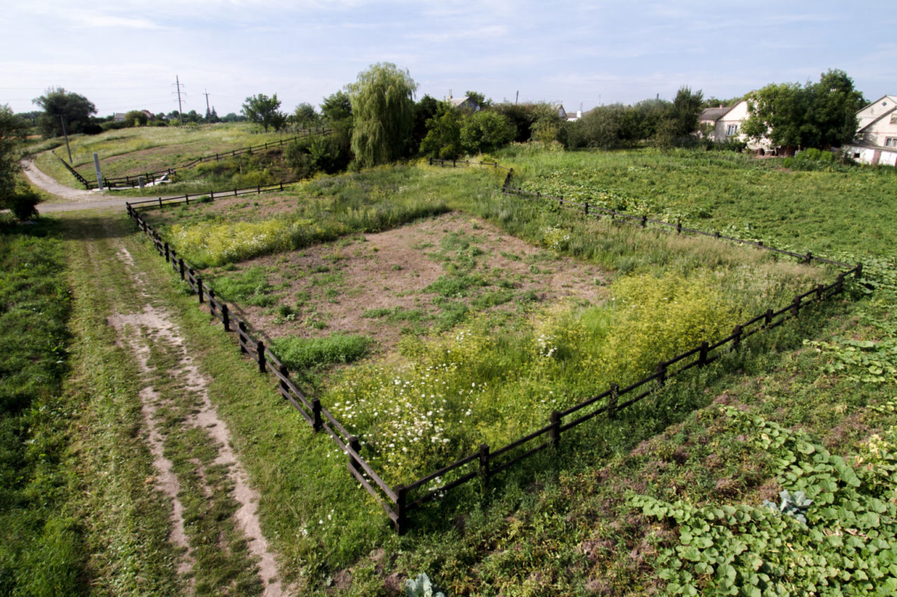 Колишнє місце розстрілу і сьогоднішнє пам’ятне місце знаходяться зовсім неподалік села, липень 2015